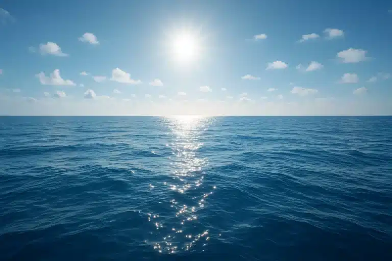 préservons_les_océans